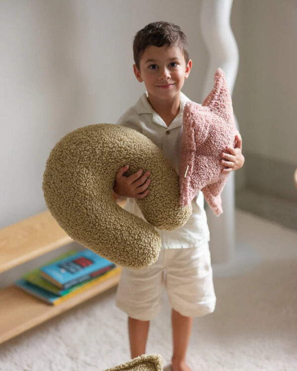 Guava Star Cushion - Image 7