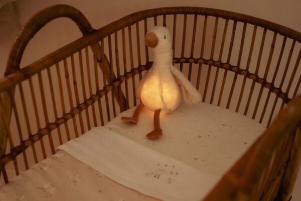 Little Dutch žąsytė su garsu ir šviesa Newborn Naturals - Image 7