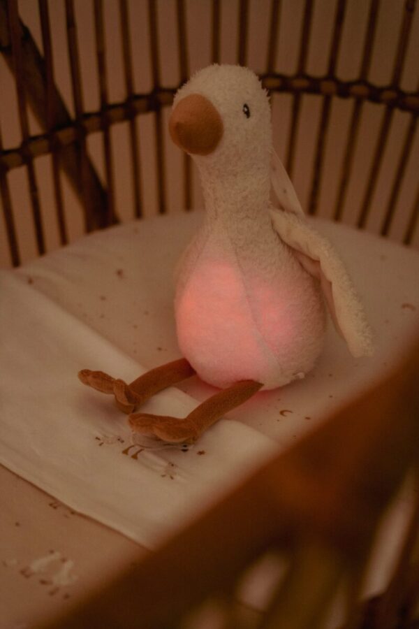 Little Dutch žąsytė su garsu ir šviesa Newborn Naturals - Image 6