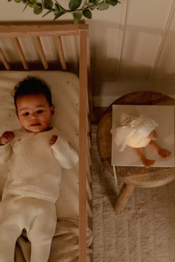 Little Dutch žąsytė su garsu ir šviesa Newborn Naturals - Image 3