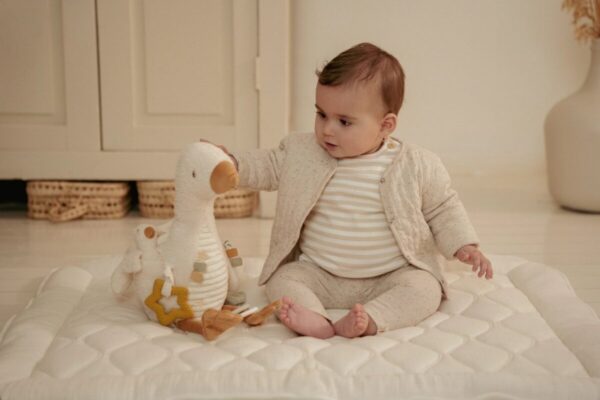 Little Dutch lavinančių veiklų žąsiukas  Newborn Naturals - Image 6